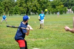 phx fray, softball leagues, team sports, social sports
