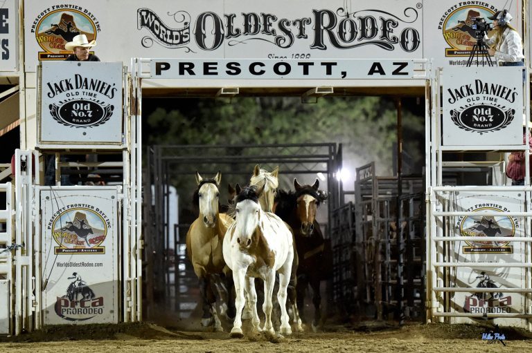 Day Trip Prescott Valley PHX Fray