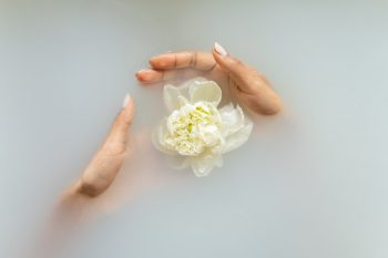 Hands cradle a white flower in a milk bath.